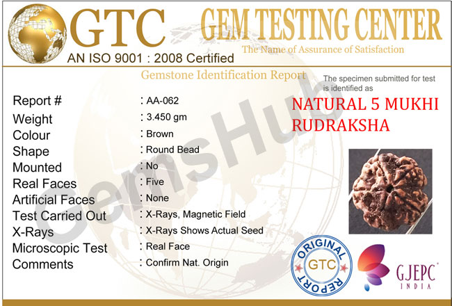 5 Mukhi Natural Certified Rudraksha Size- 21.4 mm Premium